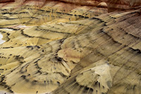 prints