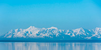 prints