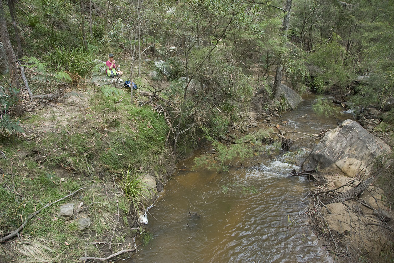 New South Wales - Blue Mtns