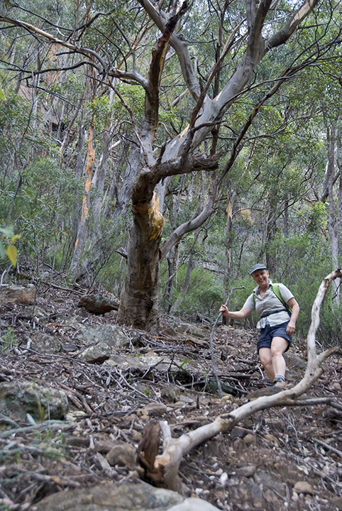 New South Wales - Blue Mtns