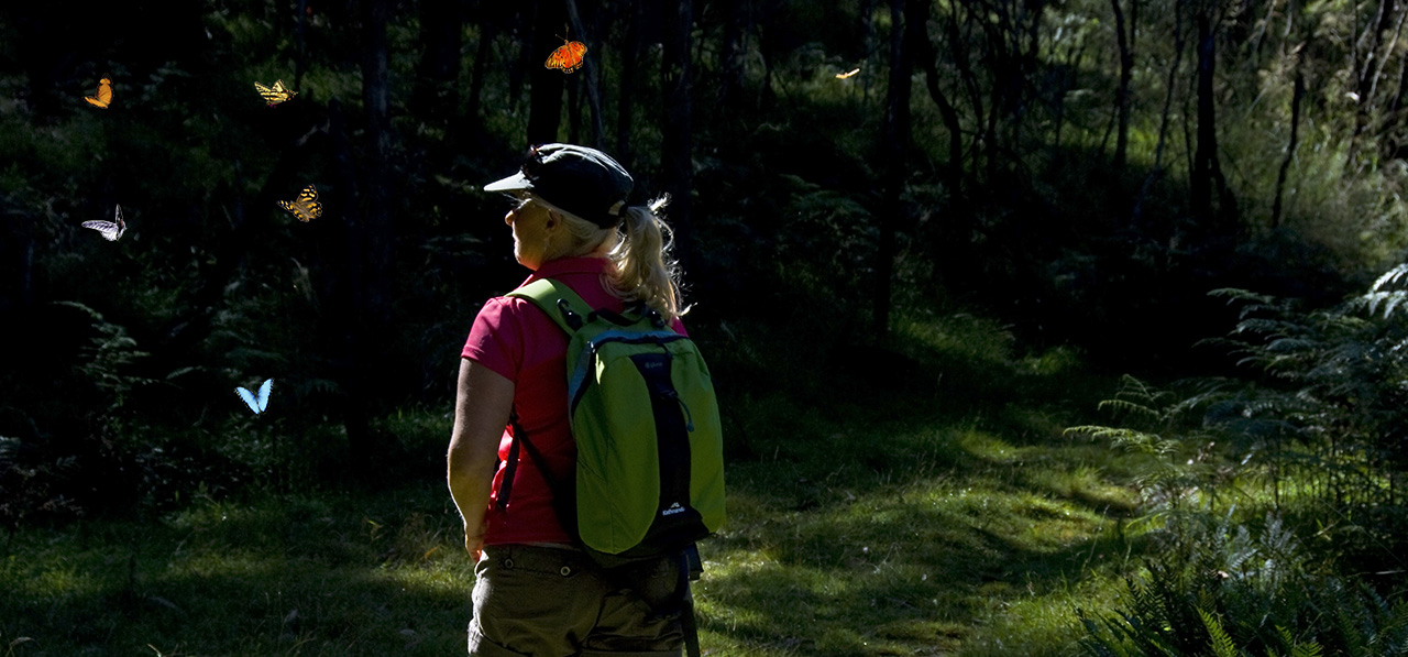 New South Wales - Blue Mtns