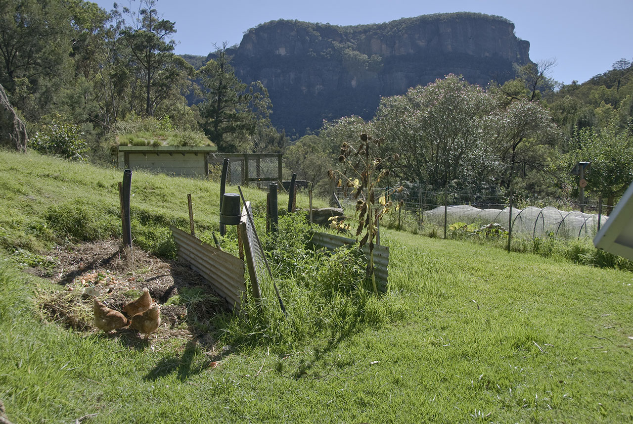 New South Wales - Blue Mtns