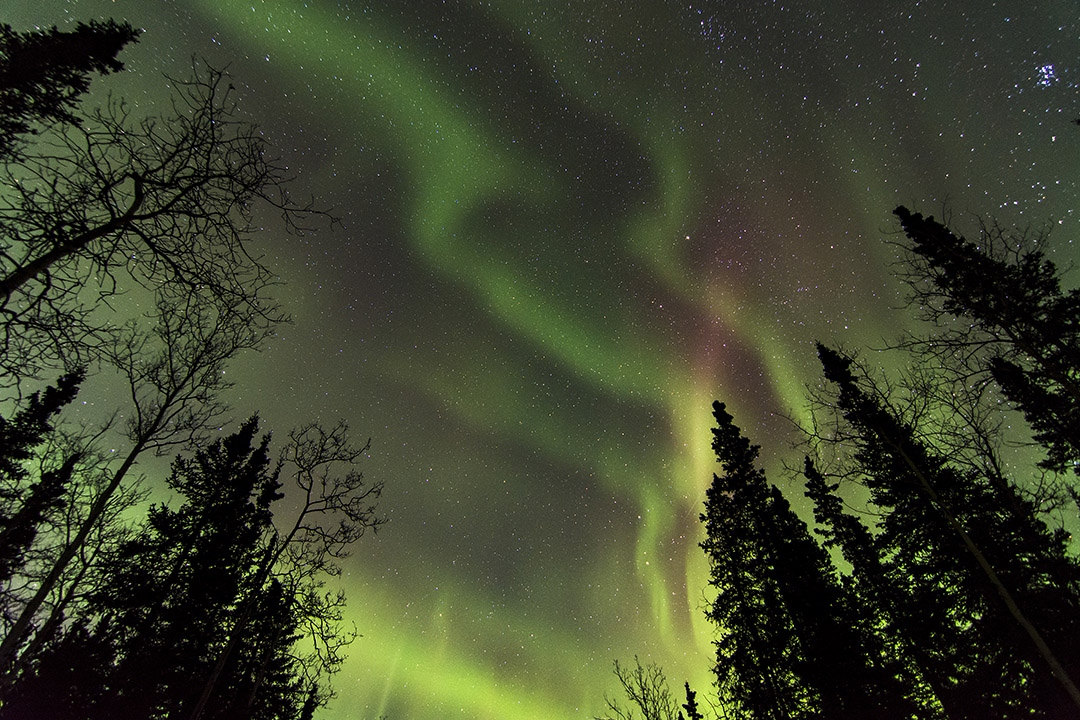 Alaska